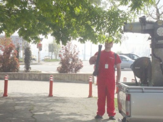 Au început dezinsecţiile în Constanţa şi Mamaia